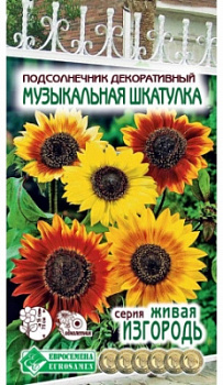 Подсолнечник Музыкальная Шкатулка