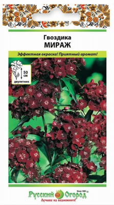 Гвоздика мираж