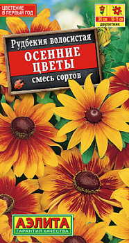 Рудбекия Осенние цветы, смесь сортов_ЦП