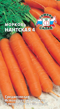 morkov_nantskaya_4