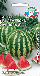 Арбуз Лежебока медовый