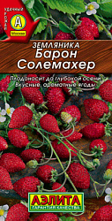 Земляника ремонтантная Барон Солемахер_ЦП