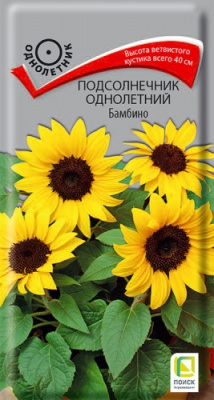 podsolnechnik_odnoletny_bambino