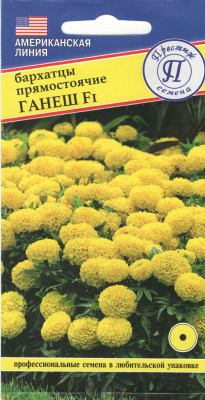 barhatzy_ganech