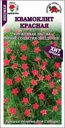 Ипомея квамоклит красная