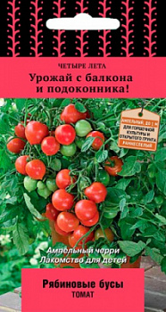tomat_ryabinovie_busy