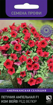 petunia_ampel_f1_easy_wave_red_velur