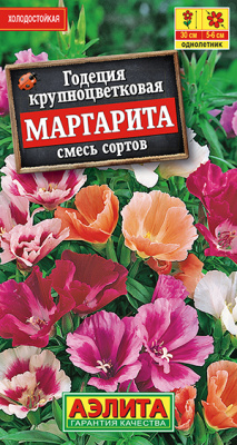 Годеция Маргарита, смесь сортов_ЦП