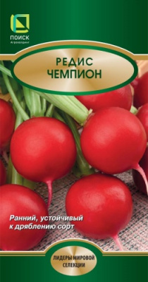redis_champion