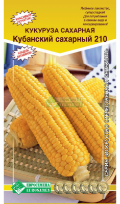 Кукуруза сахарная Кубанский сахарный 210