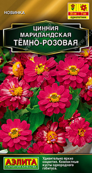Цинния мариландская  Тёмно-розовая