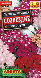 Флокс друммонда Созвездие, смесь сортов_ЦП