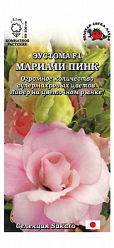 Мариачи пинк