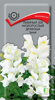 lviniy_zev_nizkorosliy_drakosha_beliy