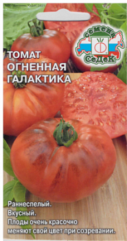 Томат Огненная галактика