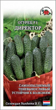 Директор