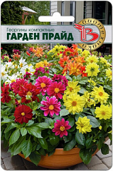 Гарден прайд