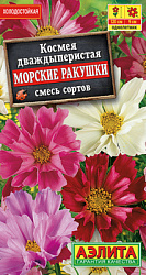 Космея Морские ракушки, смесь сортов_ЦП