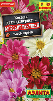 Космея Морские ракушки, смесь сортов_ЦП