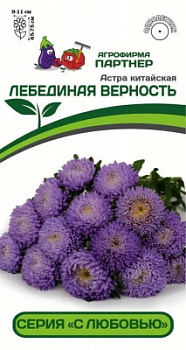 астра лебединая верность