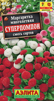 Маргаритка Суперпомпон, смесь сортов_ЦП