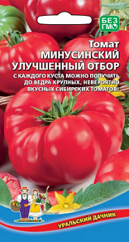 tomat-minusinskiy-uluchshennyy-otbor
