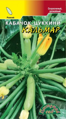 Кабачок кальмар