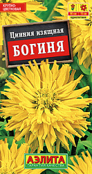 Цинния Богиня кактусовидная_ЦП