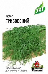 Укроп Грибовский хит