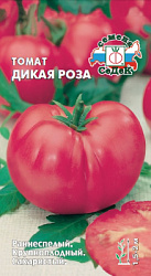 tomat_dikaya_roza