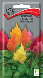 cellozia_peristaya_smes_okrasok