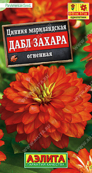 Цинния Дабл Захара Огненная