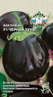 baklazhan_chernaya_luna