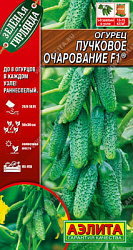 Огурец Пучковое очарование