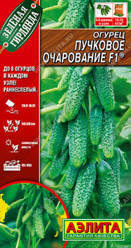 Огурец Пучковое очарование