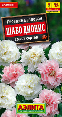 Гвоздика садовая Шабо Дионис, смесь сортов_ЦП