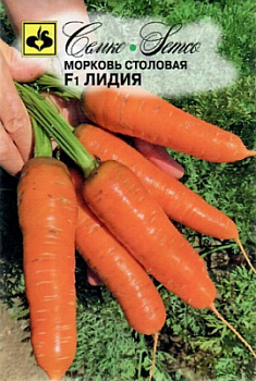 morkov_lidiya_p
