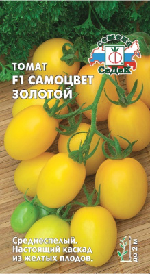 tomat_samotsvet_zolotoy_f1