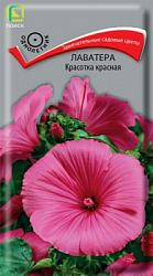lavatera_krasotka_krasnaya