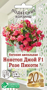 Бегония Нонстоп Джой Розе Пикоти F