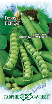Беркут