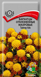 Бархатцы отклоненные махровые Тайгер Айс