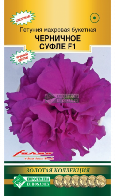 Петуния Черничное Суфле