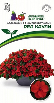 Бальзамин ред каули