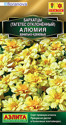 Бархатцы Алюмия ванильно-кремовые_ЦП