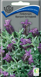 lavanda_fragrant_butterfly