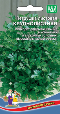 petrushka-listovaya-krupnolistnaya