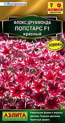 Флокс друммонда Попстарс F1 красный_ЦП
