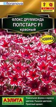 Флокс друммонда Попстарс F1 красный_ЦП