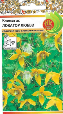 Клематис локатор любви